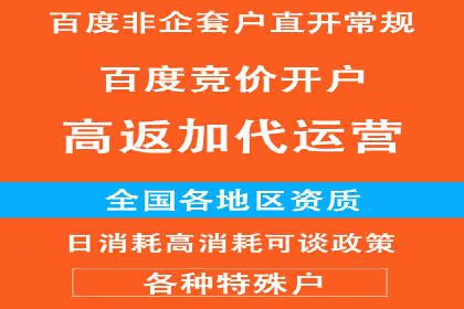 某行业SEM竞价专员的成功策略与经典案例
